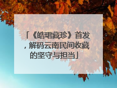 《皓珺藏珍》首发，解码云南民间收藏的坚守与担当