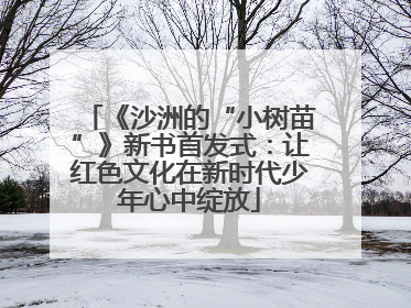 《沙洲的“小树苗”》新书首发式：让红色文化在新时代少年心中绽放