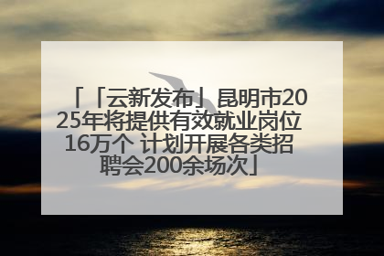 「云新发布」昆明市2025年将提供有效就业岗位16万个 计划开展各类招聘会200余场次