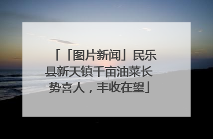 「图片新闻」民乐县新天镇千亩油菜长势喜人，丰收在望
