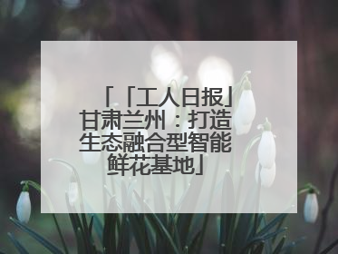 「工人日报」甘肃兰州：打造生态融合型智能鲜花基地