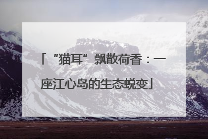 “猫耳”飘散荷香：一座江心岛的生态蜕变