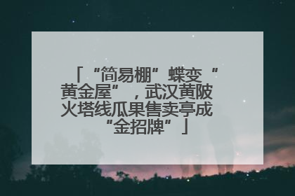 “简易棚”蝶变“黄金屋”，武汉黄陂火塔线瓜果售卖亭成“金招牌”