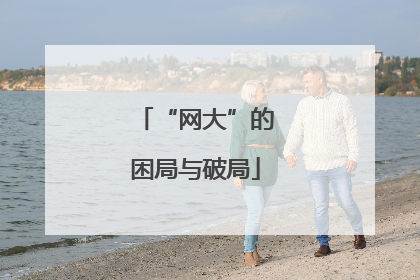 “网大”的困局与破局