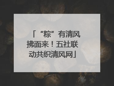 “粽”有清风拂面来！五社联动共织清风网