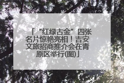 “红绿古金”四张名片惊艳亮相！吉安文旅招商推介会在青原区举行(图)