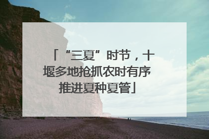 “三夏”时节，十堰多地抢抓农时有序推进夏种夏管