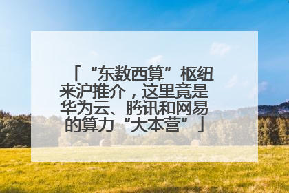 “东数西算”枢纽来沪推介，这里竟是华为云、腾讯和网易的算力“大本营”