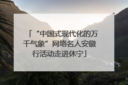 “中国式现代化的万千气象”网络名人安徽行活动走进休宁