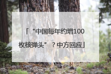 “中国每年约增100枚核弹头”？中方回应