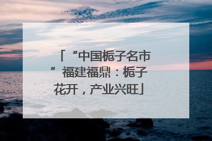 “中国栀子名市”福建福鼎：栀子花开，产业兴旺