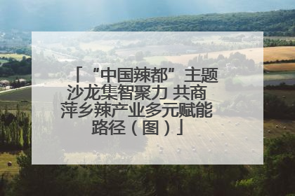 “中国辣都”主题沙龙集智聚力 共商萍乡辣产业多元赋能路径（图）