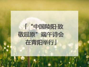 “中国陵阳·致敬屈原”端午诗会在青阳举行