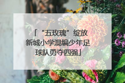“五玫瑰”绽放 新城小学混编少年足球队勇夺四强