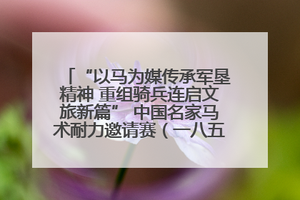 “以马为媒传承军垦精神 重组骑兵连启文旅新篇” 中国名家马术耐力邀请赛（一八五团站）暨重启骑兵连活动正式启动