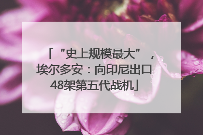 “史上规模最大”，埃尔多安：向印尼出口48架第五代战机