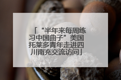 “半年来每周练习中国曲子”美国托莱多青年走进四川南充交流访问