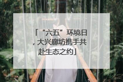 “六五”环境日，大兴廊坊携手共赴生态之约