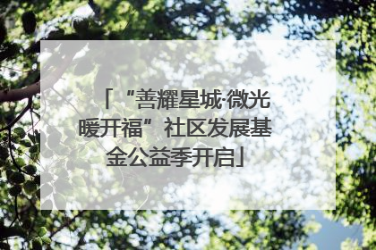 “善耀星城·微光暖开福”社区发展基金公益季开启