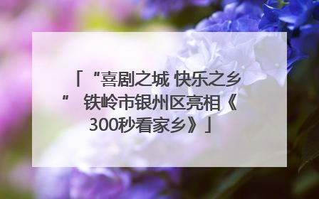 “喜剧之城 快乐之乡” 铁岭市银州区亮相《300秒看家乡》