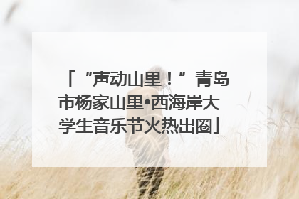 “声动山里！”青岛市杨家山里•西海岸大学生音乐节火热出圈