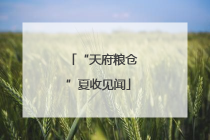 “天府粮仓”夏收见闻