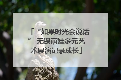 “如果时光会说话” 无锡萌娃多元艺术展演记录成长