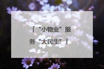 “小物业”服务“大民生”