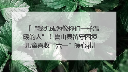 “我想成为像你们一样温暖的人”！鲁山县留守困境儿童喜收“六一”暖心礼