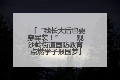 “我长大后也要穿军装！”——观沙岭街道国防教育点燃学子报国梦