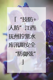 “技防+人防”江西抚州拧紧水库汛期安全“防御弦”