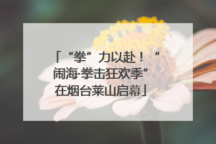 “拳”力以赴！“闹海·拳击狂欢季”在烟台莱山启幕