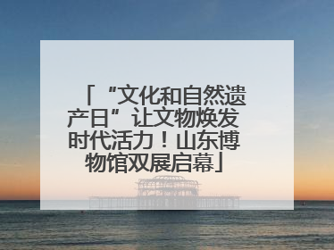 “文化和自然遗产日”让文物焕发时代活力！山东博物馆双展启幕