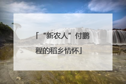 “新农人”付鹏程的稻乡情怀