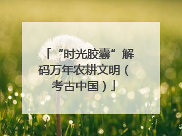 “时光胶囊”解码万年农耕文明（考古中国）