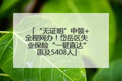 “无证明”申领+全程网办！岱岳区失业保险“一键直达”惠及5408人
