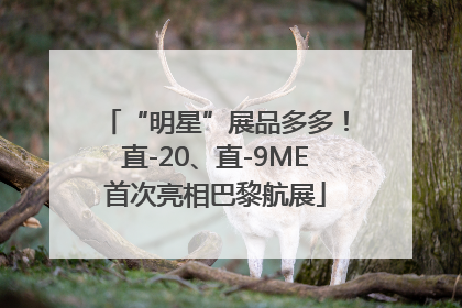 “明星”展品多多！直-20、直-9ME首次亮相巴黎航展
