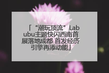 “潮玩顶流”Labubu主题快闪西南首展落地成都 首发经济引擎再添动能