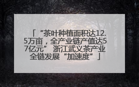 “茶叶种植面积达12.5万亩，全产业链产值达57亿元” 浙江武义茶产业全链发展“加速度”