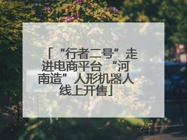 “行者二号”走进电商平台 “河南造”人形机器人线上开售