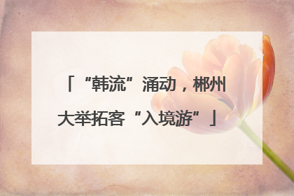 “韩流”涌动，郴州大举拓客“入境游”