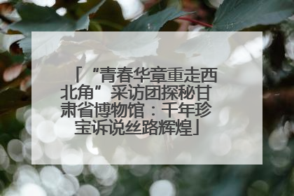 “青春华章重走西北角”采访团探秘甘肃省博物馆：千年珍宝诉说丝路辉煌