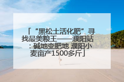 “黑松土活化肥”寻找最美粮王——濮阳站：碱地变肥地 濮阳小麦亩产1500多斤