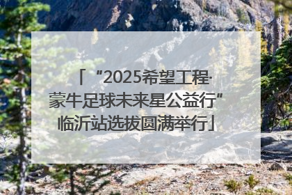 “2025希望工程·蒙牛足球未来星公益行”临沂站选拔圆满举行