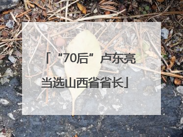“70后”卢东亮当选山西省省长