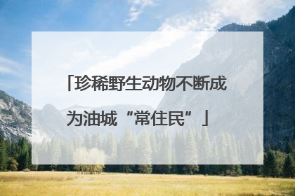 珍稀野生动物不断成为油城“常住民”
