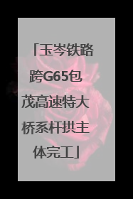 玉岑铁路跨G65包茂高速特大桥系杆拱主体完工