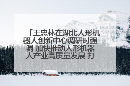 王忠林在湖北人形机器人创新中心调研时强调 加快推动人形机器人产业高质量发展 打造具有全国影响力的研发创新基地