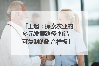 王超：探索农业的多元发展路径 打造可复制的融合样板
