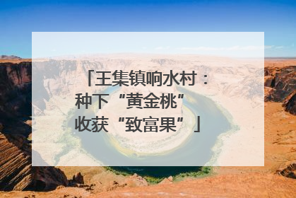 王集镇响水村：种下“黄金桃” 收获“致富果”